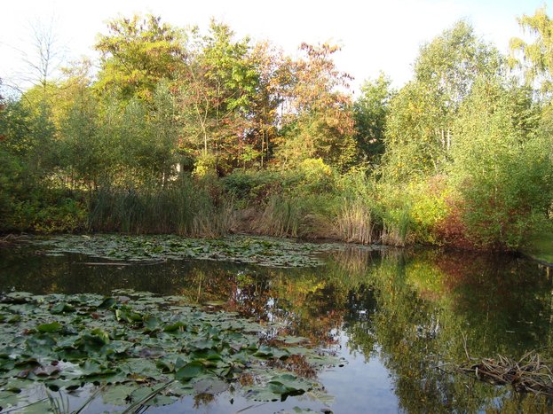 Brunnen_21.jpg Brunnen_21.jpg