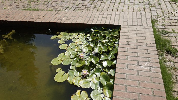 Brunnen_20.jpg Brunnen_20.jpg